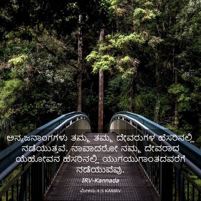Picture 03 - ಮೀಕನು 4:5 KANIRV - ಅನ್ಯಜನಾಂಗಗಳು ತಮ್ಮ - Bible Verse Picture