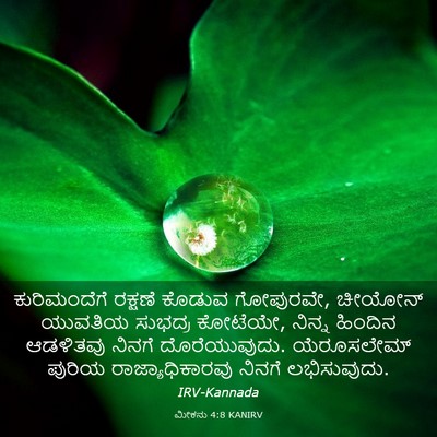 Picture 03 - ಮೀಕನು 4:8 KANIRV - ಕುರಿಮಂದೆಗೆ ರಕ್ಷಣೆ - Bible Verse Picture