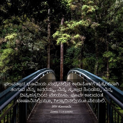 Picture 03 - ಮೀಕನು 7:14 KANIRV - ಫಲವತ್ತಾದ ಭೂಮಿಯ - Bible Verse Picture
