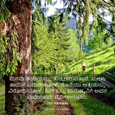 Picture 03 - ಮೀಕನು 7:6 KANIRV - ಮಗನು ತಂದೆಯನ್ನು - Bible Verse Picture