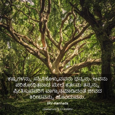 Picture 03 - ಯಾಕೋಬನು 1:12 KANIRV - ಕಷ್ಟಗಳನ್ನು - Bible Verse Picture