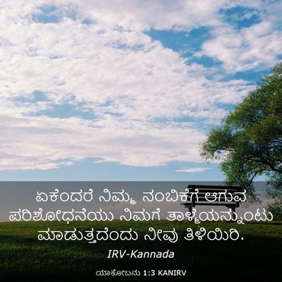 Picture 03 - ಯಾಕೋಬನು 1:3 KANIRV - ಏಕೆಂದರೆ ನಿಮ್ಮ - Bible Verse Picture