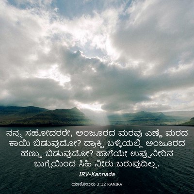 Picture 03 - ಯಾಕೋಬನು 3:12 KANIRV - ನನ್ನ ಸಹೋದರರೇ, - Bible Verse Picture