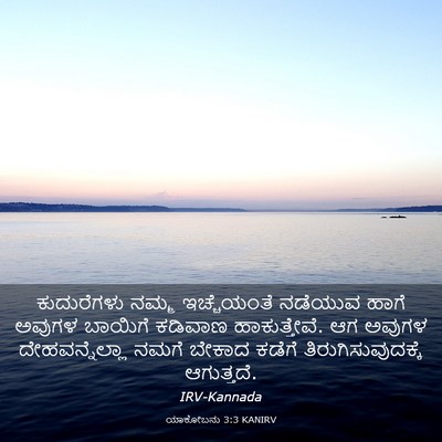 Picture 03 - ಯಾಕೋಬನು 3:3 KANIRV - ಕುದುರೆಗಳು ನಮ್ಮ - Bible Verse Picture
