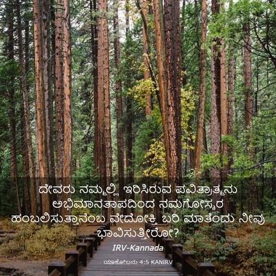 Picture 03 - ಯಾಕೋಬನು 4:5 KANIRV - ದೇವರು ನಮ್ಮಲ್ಲಿ - Bible Verse Picture