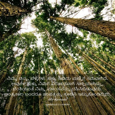 Picture 03 - ಯಾಕೋಬನು 5:3 KANIRV - ನಿಮ್ಮ ಚಿನ್ನ, - Bible Verse Picture