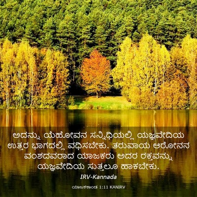 Picture 03 - ಯಾಜಕಕಾಂಡ 1:11 KANIRV - ಅದನ್ನು ಯೆಹೋವನ - Bible Verse Picture