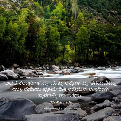 Picture 03 - ಯಾಜಕಕಾಂಡ 1:16 KANIRV - ಅದರ ಕರುಳುಗಳನ್ನು - Bible Verse Picture