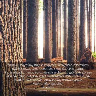 Picture 03 - ಯಾಜಕಕಾಂಡ 1:17 KANIRV - ಅವನು ಆ ಪಕ್ಷಿಯನ್ನು - Bible Verse Picture