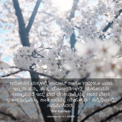 Picture 03 - ಯಾಜಕಕಾಂಡ 10:1 KANIRV - ಆರೋನನ ಮಕ್ಕಳಲ್ಲಿ - Bible Verse Picture