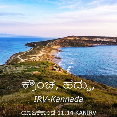 Picture 03 - ಯಾಜಕಕಾಂಡ 11:14 KANIRV - ಕ್ರೌಂಚ, - Bible Verse Picture