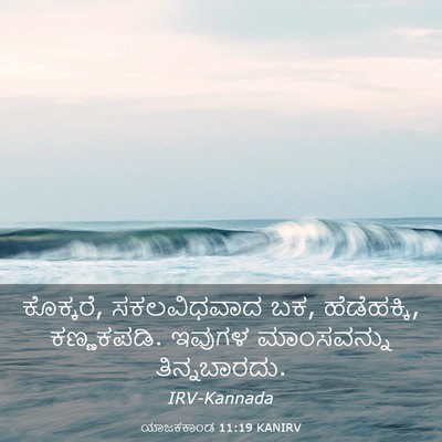 Picture 03 - ಯಾಜಕಕಾಂಡ 11:19 KANIRV - ಕೊಕ್ಕರೆ, - Bible Verse Picture