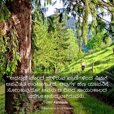 Picture 03 - ಯಾಜಕಕಾಂಡ 11:24 KANIRV - “‘ಅದಲ್ಲದೆ ಮುಂದೆ - Bible Verse Picture