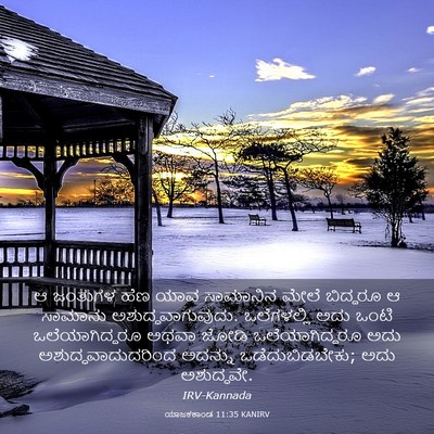 Picture 03 - ಯಾಜಕಕಾಂಡ 11:35 KANIRV - ಆ ಜಂತುಗಳ ಹೆಣ ಯಾವ - Bible Verse Picture