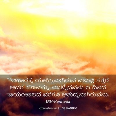 Picture 03 - ಯಾಜಕಕಾಂಡ 11:39 KANIRV - “‘ಆಹಾರಕ್ಕೆ - Bible Verse Picture