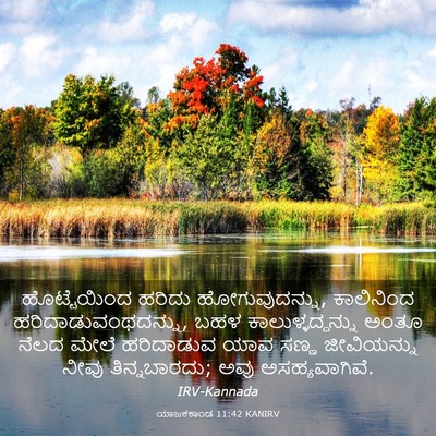 Picture 03 - ಯಾಜಕಕಾಂಡ 11:42 KANIRV - ಹೊಟ್ಟೆಯಿಂದ ಹರಿದು - Bible Verse Picture