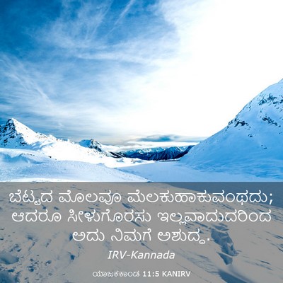 Picture 03 - ಯಾಜಕಕಾಂಡ 11:5 KANIRV - ಬೆಟ್ಟದ ಮೊಲವೂ - Bible Verse Picture