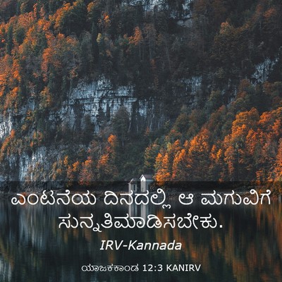 Picture 03 - ಯಾಜಕಕಾಂಡ 12:3 KANIRV - ಎಂಟನೆಯ ದಿನದಲ್ಲಿ ಆ - Bible Verse Picture