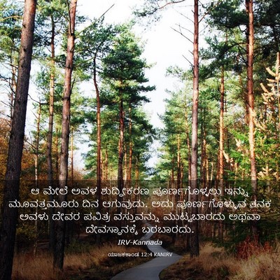 Picture 03 - ಯಾಜಕಕಾಂಡ 12:4 KANIRV - ಆ ಮೇಲೆ ಅವಳ - Bible Verse Picture