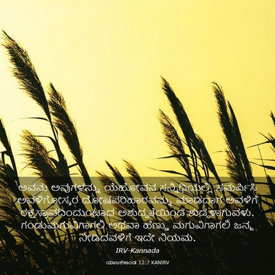 Picture 03 - ಯಾಜಕಕಾಂಡ 12:7 KANIRV - ಅವನು ಅವುಗಳನ್ನು - Bible Verse Picture
