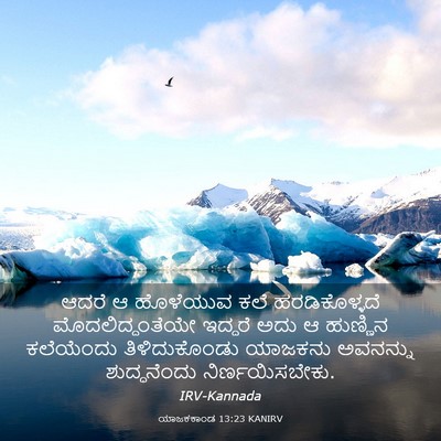 Picture 03 - ಯಾಜಕಕಾಂಡ 13:23 KANIRV - ಆದರೆ ಆ ಹೊಳೆಯುವ ಕಲೆ - Bible Verse Picture