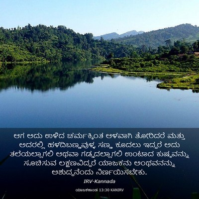 Picture 03 - ಯಾಜಕಕಾಂಡ 13:30 KANIRV - ಆಗ ಅದು ಉಳಿದ - Bible Verse Picture