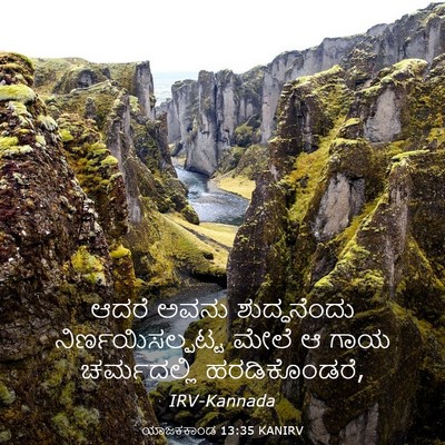 Picture 03 - ಯಾಜಕಕಾಂಡ 13:35 KANIRV - ಆದರೆ ಅವನು - Bible Verse Picture