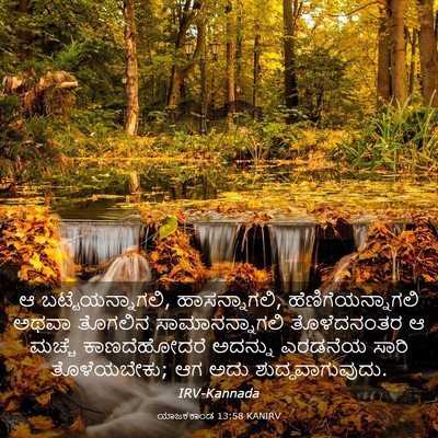 Picture 03 - ಯಾಜಕಕಾಂಡ 13:58 KANIRV - ಆ ಬಟ್ಟೆಯನ್ನಾಗಲಿ, - Bible Verse Picture