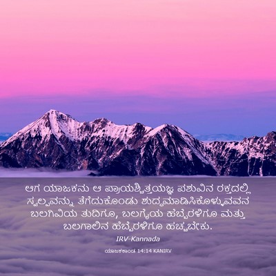 Picture 03 - ಯಾಜಕಕಾಂಡ 14:14 KANIRV - ಆಗ ಯಾಜಕನು ಆ - Bible Verse Picture