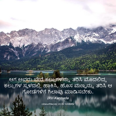Picture 03 - ಯಾಜಕಕಾಂಡ 14:42 KANIRV - ಆಗ ಅವರು ಬೇರೆ - Bible Verse Picture