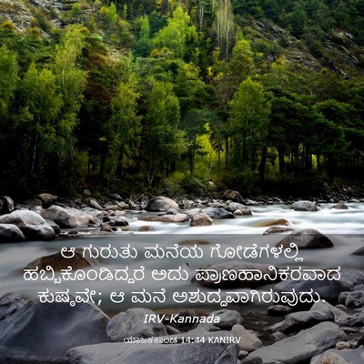 Picture 03 - ಯಾಜಕಕಾಂಡ 14:44 KANIRV - ಆ ಗುರುತು ಮನೆಯ - Bible Verse Picture