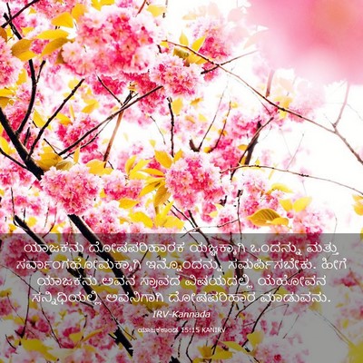 Picture 03 - ಯಾಜಕಕಾಂಡ 15:15 KANIRV - ಯಾಜಕನು ದೋಷಪರಿಹಾರಕ - Bible Verse Picture