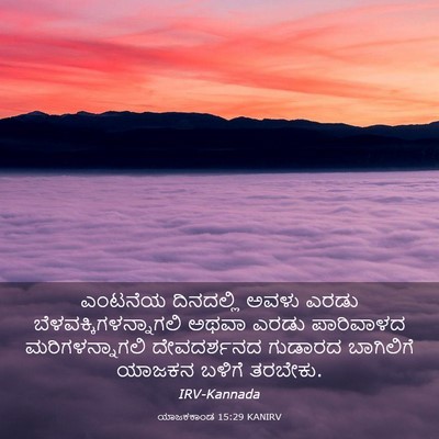 Picture 03 - ಯಾಜಕಕಾಂಡ 15:29 KANIRV - ಎಂಟನೆಯ ದಿನದಲ್ಲಿ - Bible Verse Picture