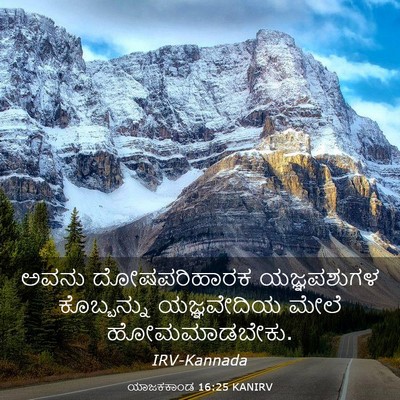 Picture 03 - ಯಾಜಕಕಾಂಡ 16:25 KANIRV - ಅವನು ದೋಷಪರಿಹಾರಕ - Bible Verse Picture