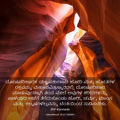 Picture 03 - ಯಾಜಕಕಾಂಡ 16:27 KANIRV - ದೋಷಪರಿಹಾರಕ - Bible Verse Picture