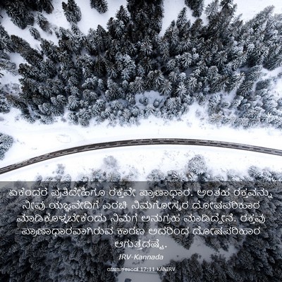 Picture 03 - ಯಾಜಕಕಾಂಡ 17:11 KANIRV - ಏಕೆಂದರೆ - Bible Verse Picture