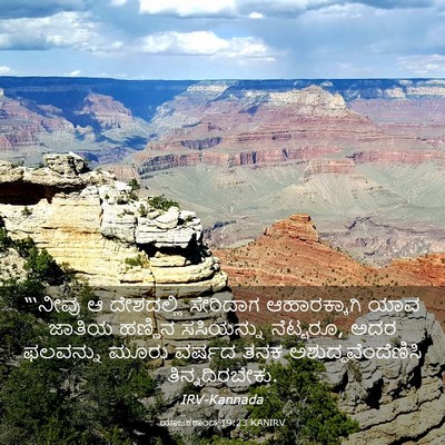 Picture 03 - ಯಾಜಕಕಾಂಡ 19:23 KANIRV - “‘ನೀವು ಆ ದೇಶದಲ್ಲಿ - Bible Verse Picture