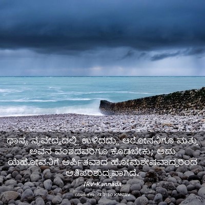 Picture 03 - ಯಾಜಕಕಾಂಡ 2:10 KANIRV - ಧಾನ್ಯ - Bible Verse Picture