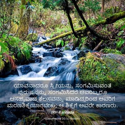 Picture 03 - ಯಾಜಕಕಾಂಡ 20:13 KANIRV - ಯಾವನಾದರೂ - Bible Verse Picture