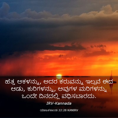 Picture 03 - ಯಾಜಕಕಾಂಡ 22:28 KANIRV - ಹೆತ್ತ ಆಕಳನ್ನು, ಅದರ - Bible Verse Picture