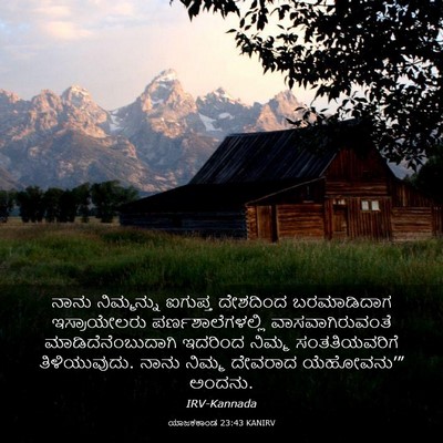 Picture 03 - ಯಾಜಕಕಾಂಡ 23:43 KANIRV - ನಾನು ನಿಮ್ಮನ್ನು - Bible Verse Picture