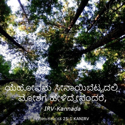 Picture 03 - ಯಾಜಕಕಾಂಡ 25:1 KANIRV - ಯೆಹೋವನು - Bible Verse Picture