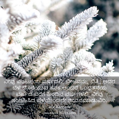 Picture 03 - ಯಾಜಕಕಾಂಡ 25:22 KANIRV - ನೀವು ಎಂಟನೆಯ - Bible Verse Picture