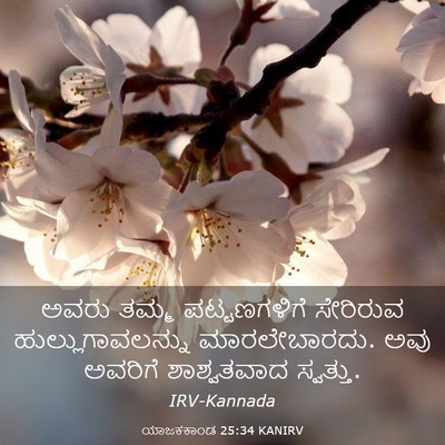 Picture 03 - ಯಾಜಕಕಾಂಡ 25:34 KANIRV - ಅವರು ತಮ್ಮ - Bible Verse Picture