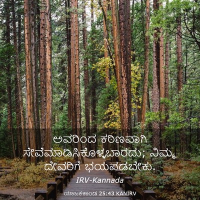 Picture 03 - ಯಾಜಕಕಾಂಡ 25:43 KANIRV - ಅವರಿಂದ ಕಠಿಣವಾಗಿ - Bible Verse Picture
