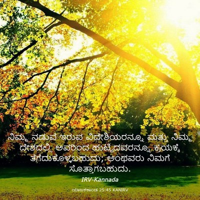 Picture 03 - ಯಾಜಕಕಾಂಡ 25:45 KANIRV - ನಿಮ್ಮ ನಡುವೆ ಇರುವ - Bible Verse Picture