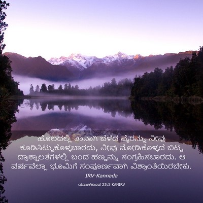 Picture 03 - ಯಾಜಕಕಾಂಡ 25:5 KANIRV - ಹೊಲದಲ್ಲಿ ತಾನಾಗಿ - Bible Verse Picture