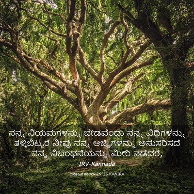 Picture 03 - ಯಾಜಕಕಾಂಡ 26:15 KANIRV - ನನ್ನ ನಿಯಮಗಳನ್ನು - Bible Verse Picture