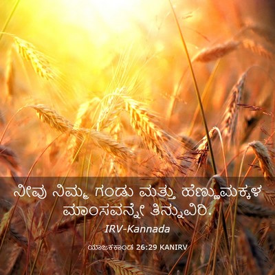 Picture 03 - ಯಾಜಕಕಾಂಡ 26:29 KANIRV - ನೀವು ನಿಮ್ಮ ಗಂಡು - Bible Verse Picture