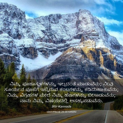 Picture 03 - ಯಾಜಕಕಾಂಡ 26:30 KANIRV - ನಿಮ್ಮ - Bible Verse Picture